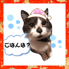 [LINEスタンプ] くるみの日常の気持ち
