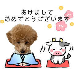 [LINEスタンプ] はなちゃんのお正月2021