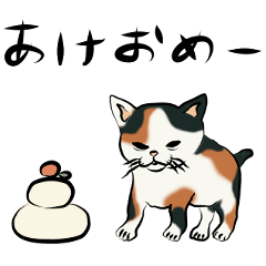 [LINEスタンプ] つり目 年末年始ねこ