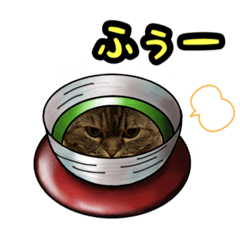 [LINEスタンプ] こっそり猫さん