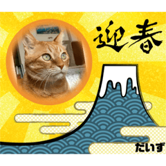 [LINEスタンプ] だいずくんとまめちゃんちの年賀状(2021年)