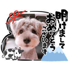 [LINEスタンプ] ぷっちょと愉快な仲間たち♡