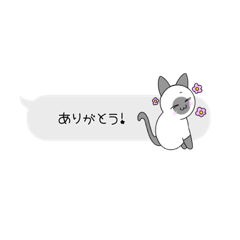 [LINEスタンプ] 【吹き出し】普段使い出来る猫さん