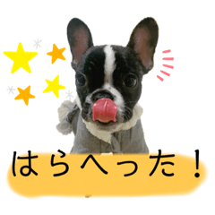 [LINEスタンプ] フレンチブル姫ちゃん 気まぐれスタンプ①