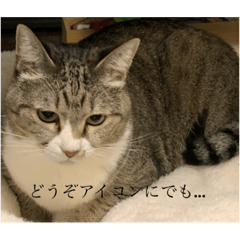 [LINEスタンプ] ちびみや11