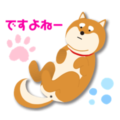 [LINEスタンプ] 柴犬ポン太からのメッセージ