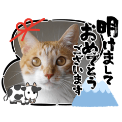 [LINEスタンプ] ＊もなかのスタンプ6＊