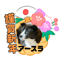 [LINEスタンプ] ピースワンコ保護犬スタンプワンだふるver2