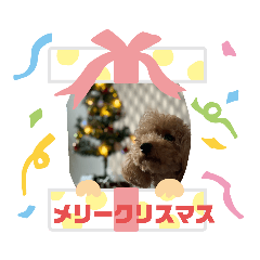 [LINEスタンプ] Xmas＆新年  ムッキー