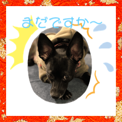[LINEスタンプ] ☆れいり〜☆