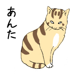 [LINEスタンプ] 関西のネコ 家族言葉