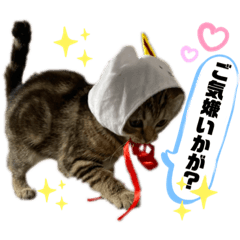 [LINEスタンプ] ひまにゃん 4