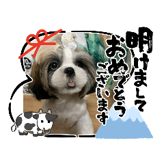 [LINEスタンプ] わん(＾ω＾U)わん！