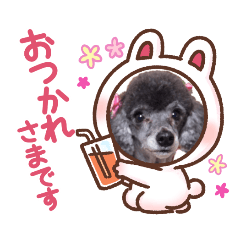 [LINEスタンプ] 犬  スタンプ
