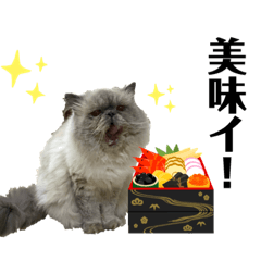 [LINEスタンプ] もちもちふぁみりーのお正月3