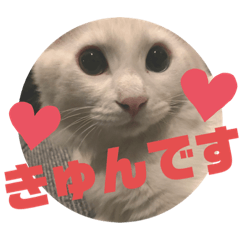 [LINEスタンプ] 井戸中ちくわスタンプ3