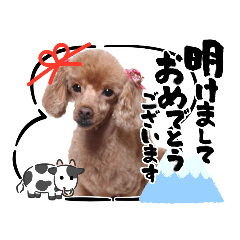 [LINEスタンプ] 犬 スタンプ・お正月