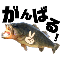 [LINEスタンプ] バス釣り好きスタンプ！part2‼︎