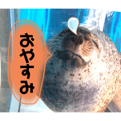 [LINEスタンプ] タロの水族館2