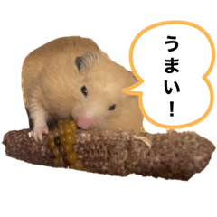 [LINEスタンプ] キンクマじろう君のスタンプ