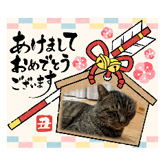 [LINEスタンプ] 猫のキャベツ君