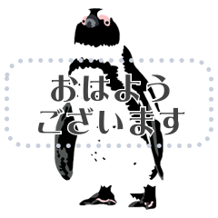 [LINEスタンプ] シンプル ペンギン