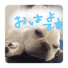 [LINEスタンプ] ロンとよしおの日常会話。