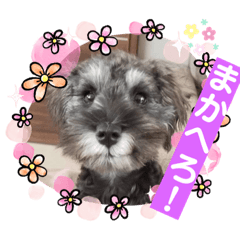 [LINEスタンプ] ななちゃんすたんぷ①
