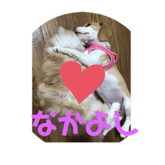 [LINEスタンプ] マリ＆カツ