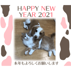 [LINEスタンプ] マリ＆カツ②