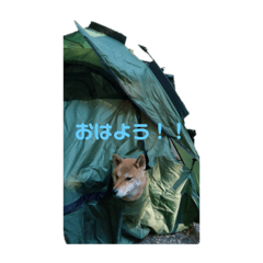 [LINEスタンプ] 佐助のスタンプ3