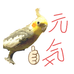[LINEスタンプ] おかめおかおか