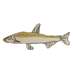 [LINEスタンプ] ぼくの魚たち