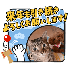 [LINEスタンプ] 愛月と空パート8