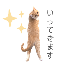 [LINEスタンプ] ゆるりんおまめ その3'