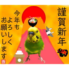 [LINEスタンプ] 愛しのインコさん♪