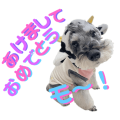 [LINEスタンプ] Jackの日常スタンプ 5