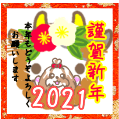 [LINEスタンプ] シーズー年末年始スタンプ