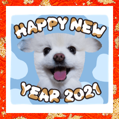 [LINEスタンプ] もふまろあけおめスタンプ2021