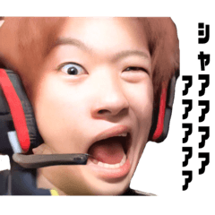 [LINEスタンプ] 【公認】タイガーシャークスタンプVer.2