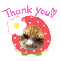 [LINEスタンプ] くぅ♥️みぃ
