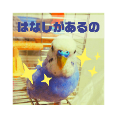 [LINEスタンプ] 可愛いインコの「ふーちゃん」スタンプ3