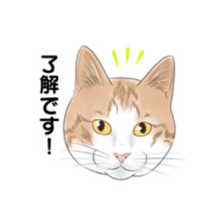 [LINEスタンプ] ツルハピ仲良しスタンプ