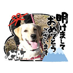 [LINEスタンプ] あけおめスタンプ(ナナちゃん)