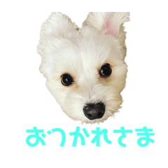 [LINEスタンプ] シエル(409)