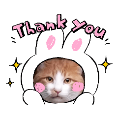[LINEスタンプ] アーユルキャット5 寅次郎