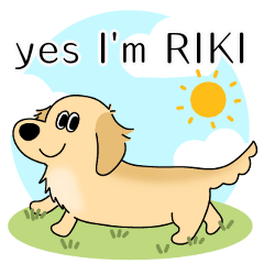 [LINEスタンプ] yes I’m RIKIの画像（メイン）