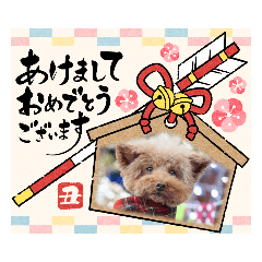 [LINEスタンプ] クー太からあけおめ
