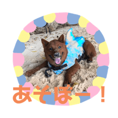 [LINEスタンプ] ゴン太(411)