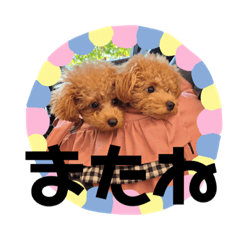 [LINEスタンプ] りり、ここ(412)